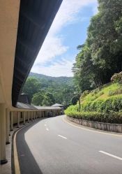 -爱帝宫月子中心(罗湖别墅院)