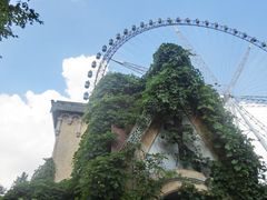 -哈尔滨文化公园