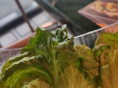 -集渔·泰式海鲜火锅(彭州店)