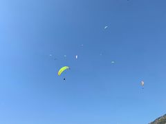 -费特希耶滑翔伞