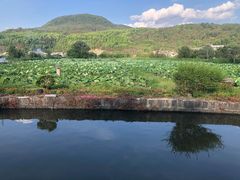 -比顿咖啡(和顺古镇店)