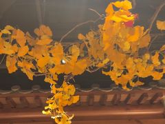 -小京华楼·京味斋(三元桥国展店)