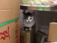 -东南美食街