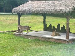 -上海野生动物园