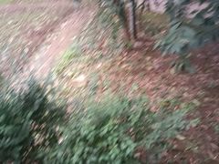 -故乡缘·香格里拉山庄(冷竹路店)