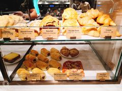 -Madeleine玛德琳(永平里店)