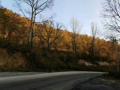-照金香山旅游景区