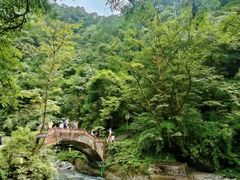-西岭雪山大飞水景区