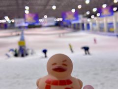 -绍兴启迪乔波冰雪世界