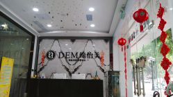 -DEM缔怡美科技美容