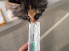 -美美宠物诊疗中心·异宠·骨科(滨江东信分院)