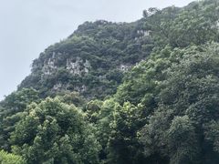 -柳州白莲洞洞穴科学博物馆