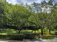 -徐家汇源景区-衡山公园