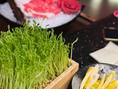 -捞王猪肚鸡火锅(昆山店)