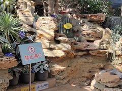 -国家植物园南园