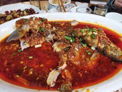 豆瓣鱼-曾牛肉