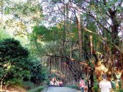 盘山公路-南沙天后宫景区