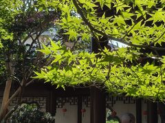 -苏州冶园园林民宿(太湖西山风景区店)