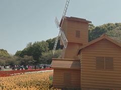 -苏州上方山国家森林公园