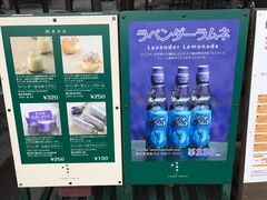 -富田农场