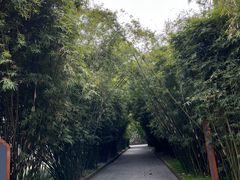 -望江楼公园