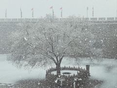 -西安城墙·碑林历史文化景区