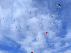 -朝阳公园游乐园