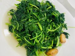 -瑞福园联谊餐室(茂名南路店)