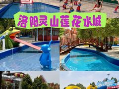 -灵山莲花公园-温泉度假区