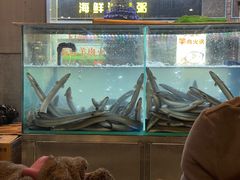 -本炙炭烤·蒲烧活鳗料理店(金沙洲店)