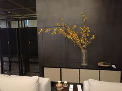 -未来生活家(集盒广场店)