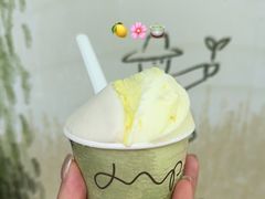 -Dip in Gelato(富民路店)