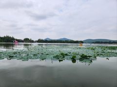 -云龙湖旅游景区