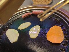 -杨小佳·齐齐哈尔烤肉·烤串(广州店)