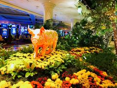 -拉斯维加斯永利酒店