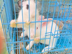 -武汉5D星空错觉艺术馆(中心百货店)