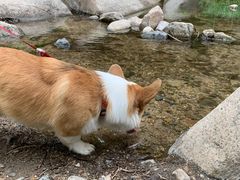 -碓臼峪自然风景区