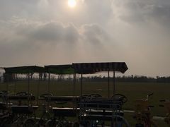 -春花秋色城市公园