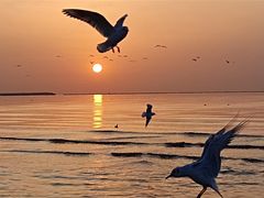 -金梦海湾浴场