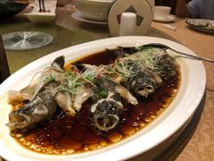 清蒸石头鱼-七仙岭君澜度假酒店·桃源小馆中餐厅