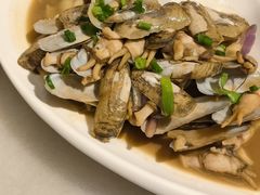 -华盛丰温州大排档(东三环南路店)