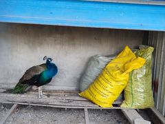 -天毓山庄·餐厅