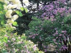 -国家植物园