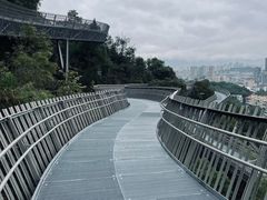 -福道