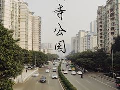-龙头寺公园