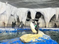 -太平洋海底世界