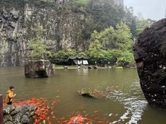 -刘伯温故里景区百丈漈