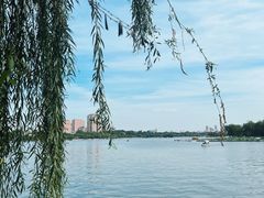 -济南大明湖景区