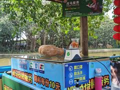 -广州长隆飞鸟乐园