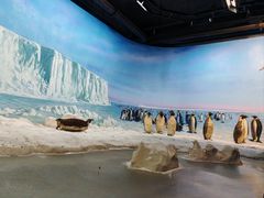 -浙江自然博物院(杭州馆)